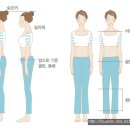 체형교정 이미지