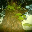 무극시장 이미지