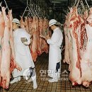 ㈜오성식품 이미지