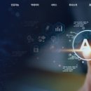 와넛분석 이미지