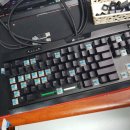 수원-0057 이미지