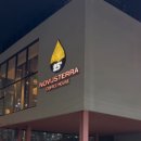 노부스테라 이미지