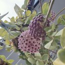 5월7일~목요일 이미지