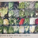 영등포맛집 백종원 원조쌈밥집 생삼겹살 쌈밥정식 내돈내산 후기