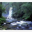 계곡&풍경 이미지