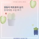 유치원 어린이집 원예수업 하트호야 식물심기 그림책활동가와 함께하는 이야기정원 수업후기!