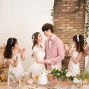 스튜디오스텔라