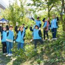 초록홀딩스 이미지