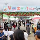 문경오미자