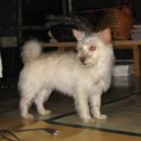 둥이농장 이미지