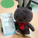 (주)아이스펄