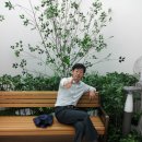 바비돌 이미지