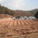 봉화농원