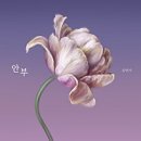 봄서트(BOM Concert) 이미지