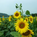 가야2리 이미지