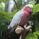 까사데일 이미지