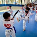 금호태권도장 이미지