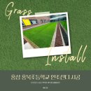 홍북초등학교 이미지