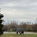 네이처한의원 | D+305 | 쏭탱부부 | 세계여행 | 미국🇺🇲뉴욕 | 비 오는 뉴욕