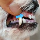 오션시티치과병원 이미지