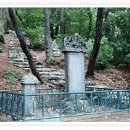 도리사로 이미지