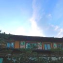 자연과 콩 이미지