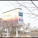 방아머리공원(솔밭) 이미지