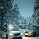 세차의이유 이미지