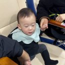 호서택시 | 한강버스 노가드 후기 9개월 아기랑