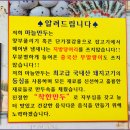 단양마늘만두 이미지