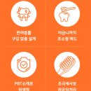 브러쉬05 | 강아지 칫솔 추천 리스펫 애견 양치 치석제거 초극세사모 딥 브러쉬 후기