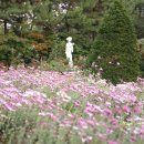 익산시 노인종합복지관 | 5월, 익산 꽃여행..익산여행 하고픈 20곳 총정리