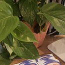 성수이로12길 이미지