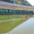 무태낚시터 이미지