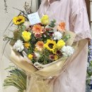 사림동178 이미지