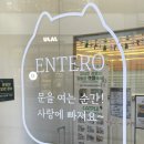 캣플헤븐 AK플라자금정점 이미지