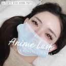 인연래쉬 | 대구 동성로 속눈썹연장 내돈내산 애니메래쉬 후기 유아뷰티