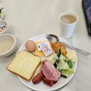 알파시티1로 40길 | 대구 수성 더 아르코 호텔 라이온즈파크점 내돈내산 솔직후기