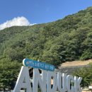 안덕황토펜션