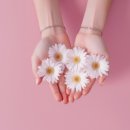 다이소 당감점 이미지