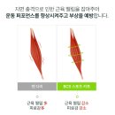 보배스포츠 - 고양시 덕양구 고양대로1384번길 9 | 위보코리아 스포츠 카프 슬리브 웜업 리커버리 크림 후기