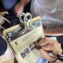 숙소 추천 / 우전민숙 (우전홈스테이) 우전 입장권 예매 / 상하이 홍차오 호텔 ‘보위에호텔’ 조식후기