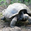 거북가든 이미지