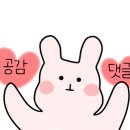 비비드.엠바디 네이버블로그