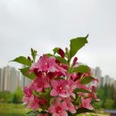 세병공원(아파트쪽) 네이버블로그