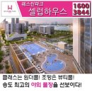 셀럽하우스 이미지