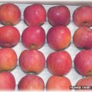 추광농장 이미지