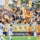 축구전용구장 이미지