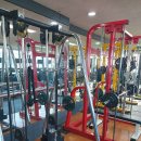 소나무헬스 이미지