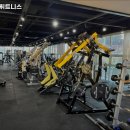 고구마 휘트니스 이미지